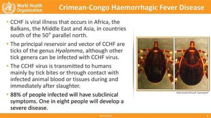 Congo fever&nbsp;is a viral disease that's usually transmitted by&nbsp;ticks&nbsp;and livestock